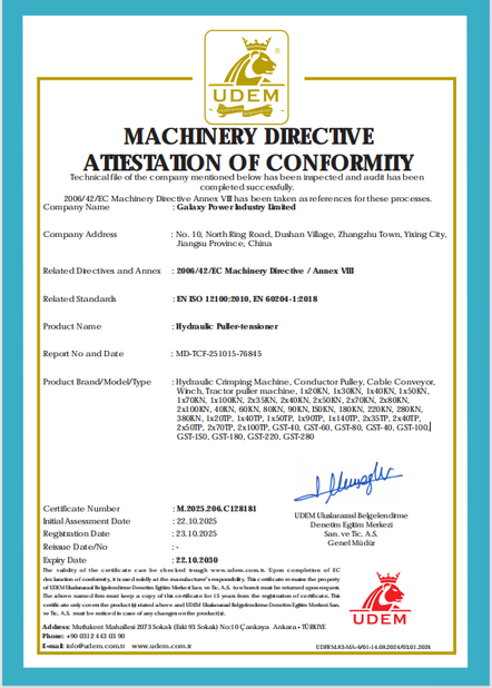 中国 Galaxy power industry limited 認証
